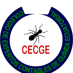 Algunas personas actúan como expertos contables en Guinea Ecuatorial sin cumplir con los requisitos de acreditación