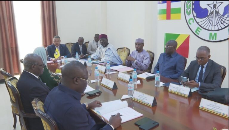 CEMAC: el Parlamento advierte que varios proyectos están retrasados en su implementación