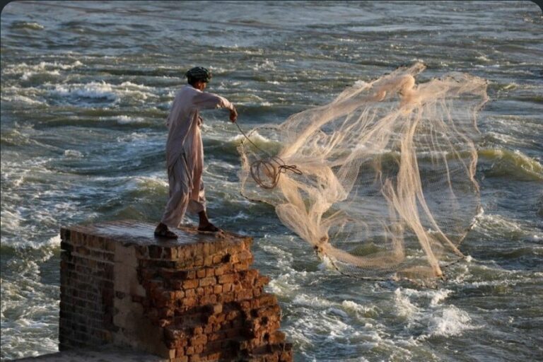 La resiliencia social marca el rumbo del crecimiento y la estabilidad global