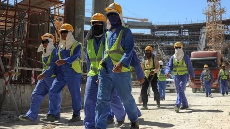 Camerún registra solo al 39% de los trabajadores extranjeros identificados en su nueva base de datos laboral