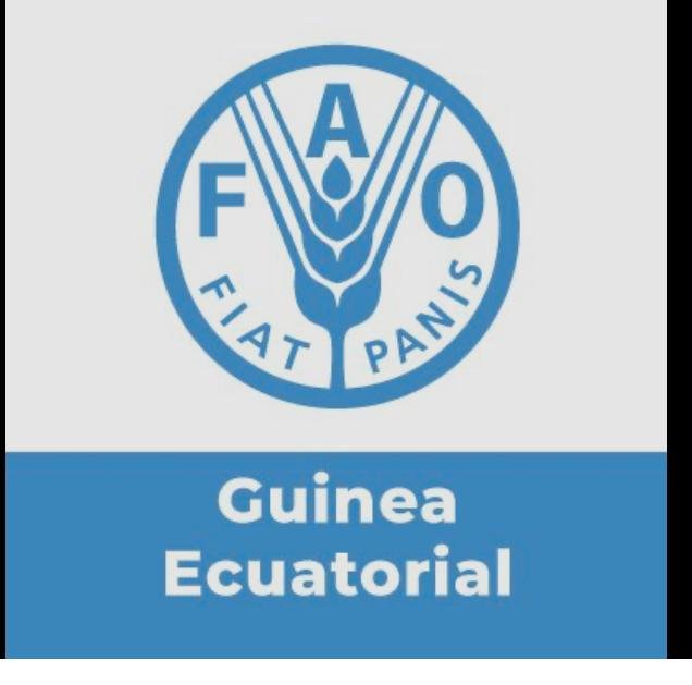 La FAO abre en Malabo una vacante de Asistente de Adquisiciones por 11 meses