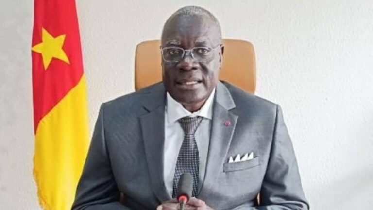 Camerún pone 386.100 millones de FCFA sobre la mesa para enfrentar el desafío del empleo juvenil