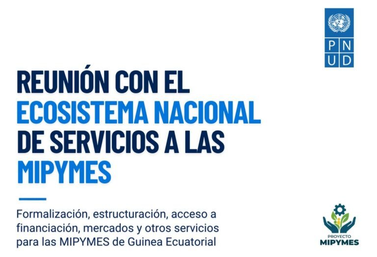 PNUD convoca a empresas de servicios para fortalecer el apoyo a las MIPYMES